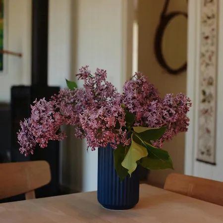 Kayak, Fish And Enjoy The Sea View *