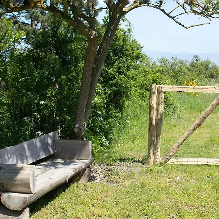 Kayak, Fish And Enjoy The Sea View *